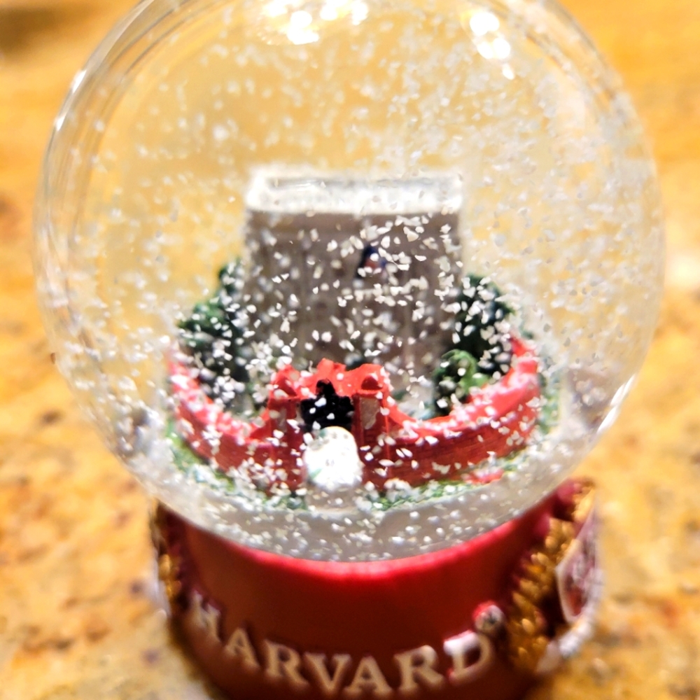 Snow Globe